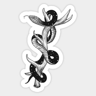 Galaxy snake Sticker